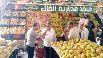 محافظ الدقهلية يتفقد منافذ بيع الخبز والخضروات ببلقاس ويؤكد على الالتزام بالأسعار| صور