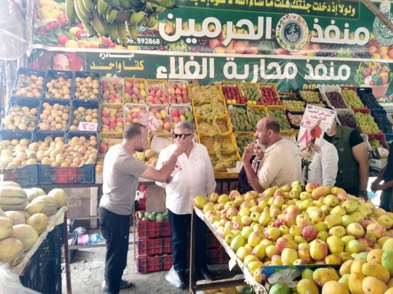 محافظ الدقهلية يتفقد منافذ بيع الخبز والخضروات ببلقاس ويؤكد على الالتزام بالأسعار| صور