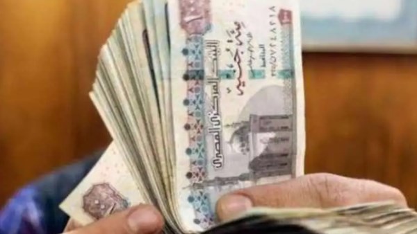 نائبة برلمانية تطالب المؤسسات بتطبيق الحد الأدنى للأجور لعمال يتقاضون 2000 جنيه