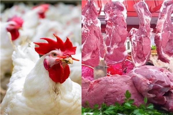 نقيب الفلاحين: الدواجن بـ80 جنيهًا واللحوم لم يرتفع سعرها منذ عامين