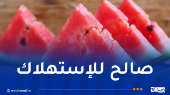 وزارة الداخلية تُصدر بيانا هاما حول فاكهة البطيخ الأحمر – النهار أونلاين