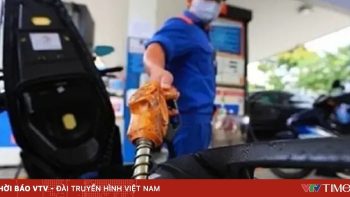 وزارة الصناعة والتجارة: يجب القضاء على عقلية استغلال أسعار الوقود لرفع أسعار السلع.