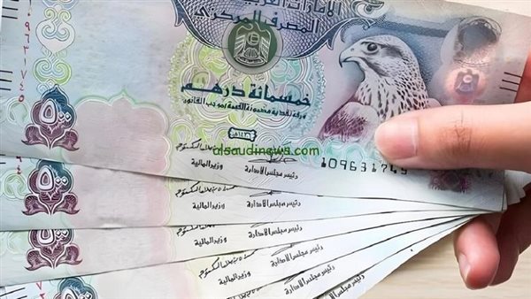 الدرهم الإماراتي يقترب من 14.20 جنيه.. تعرف على أفضل سعر للشراء والبيع