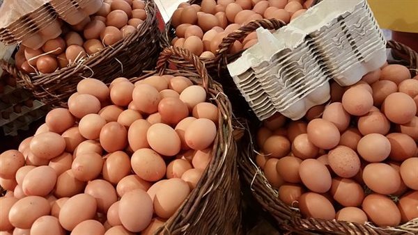 سعر كرتونة البيض اليوم الإثنين في بورصة الدواجن