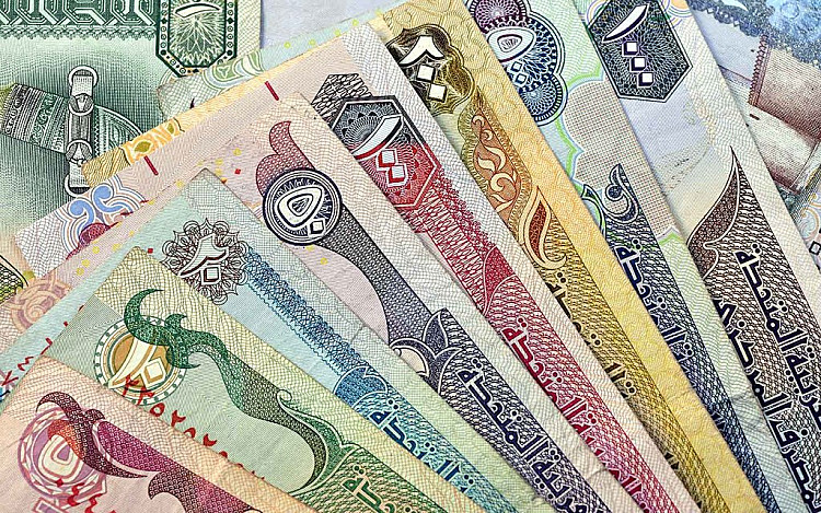 سعر الدرهم الإماراتي أمام الجنيه المصري اليوم الأحد 9 أغسطس 2026
