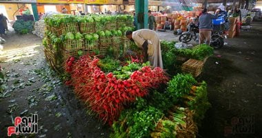 أسعار الخضروات بأسواق مطروح اليوم الجمعة 28-8-2026.. كيلو الطماطم بـ12جنيه