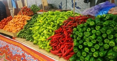 أسعار الخضروات بالمحلات والأسواق فى الأقصر.. اليوم الثلاثاء 11 أغسطس 2026