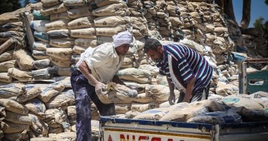 استقرار سعر الأسمنت اليوم السبت 8 أغسطس 2026 في مصر