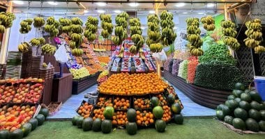 استقرار فى أسعار الفاكهة فى أسواق الأقصر.. اليوم الثلاثاء 11 أغسطس 2026