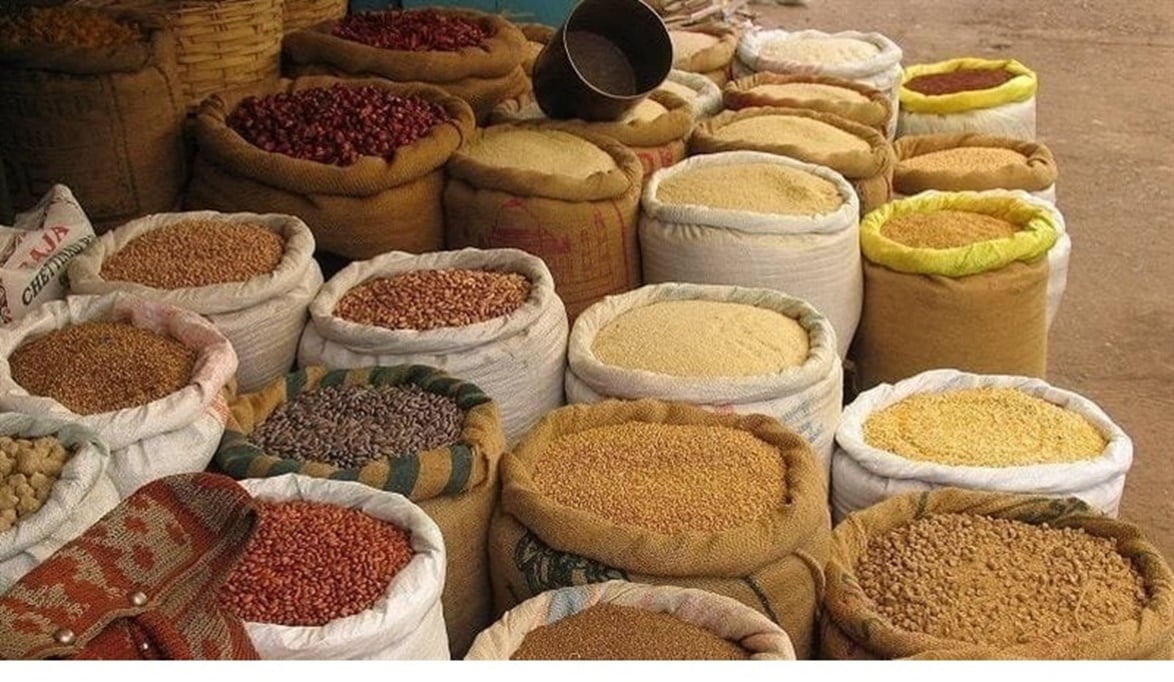 أسعار الأعلاف بعد تراجع الذرة وكسب الصويا اليوم الثلاثاء 4-8-2026 -جريدة المال