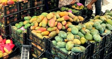 العنب بـ35 جنيها والكنتالوب بـ20.. أحدث أسعار الفاكهة بأسواق سوهاج اليوم