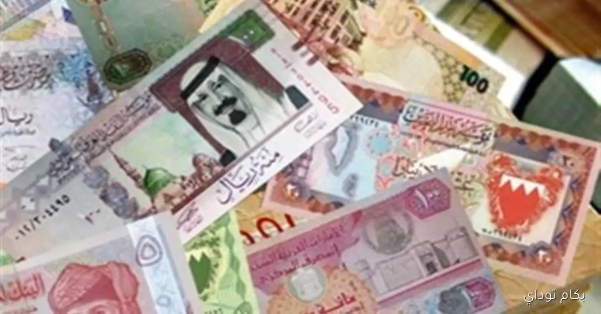 أبوظبي الإسلامي يسجل 13.74 جنيه للبيع.. سعر الدرهم الإماراتي اليوم السبت 15 أغسطس 2026