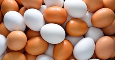 سعر طبق البيض بالقليوبية اليوم الأربعاء 19 – 8 – 2026.. الأبيض بـ 100 جنيه