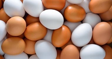 سعر طبق البيض بالقليوبية اليوم الخميس 13 – 8 – 2026.. الأبيض بـ 112 جنيها