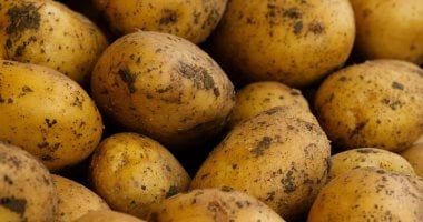 كيلو البطاطس بكام؟.. أسعار الخضراوات اليوم الاثنين في أسواق المنيا
