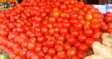 كيلو الطماطم بكام؟ .. أسعار الخضراوات فى محافظة المنيا اليوم الثلاثاء