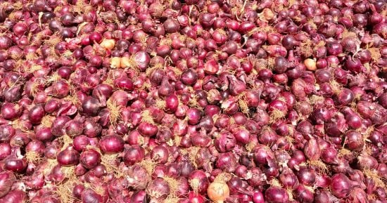 أسعار الخضراوات بأسواق سوهاج اليوم.. البصل بـ 10 جنيهات