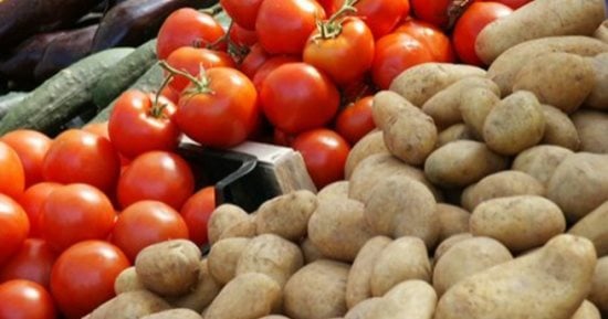 أسعار الخضراوات بأسواق مطروح اليوم السبت 5-9-2026.. الطماطم بـ 25 جنيها