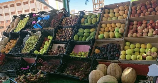 أسعار الخضروات والفاكهة اليوم الاربعاء 23-9-2026 فى المنوفية