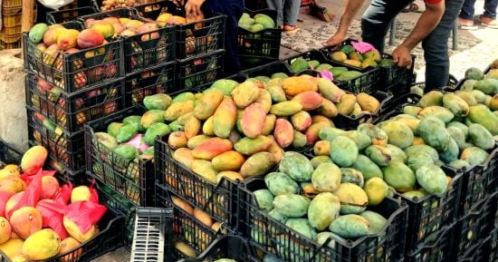 أسعار الفاكهة الطازجة بالأسواق والمحلات بالأقصر اليوم الأحد.. المانجا بـ60 جنيها