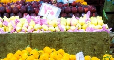 أسعار الفاكهة بالأسواق والمحلات فى الأقصر اليوم الثلاثاء 1 سبتمبر 2026