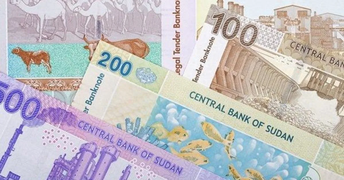 الجنيه السوداني يسجل أعنف تراجع منذ بداية العام