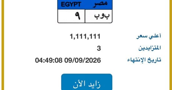 طرح لوحة “ب و ب – 9” المميزة بسعر تخطى مليون جنيه في مزاد اللوحات