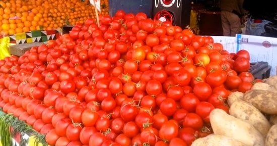 كيلو الطماطم بكام؟.. أسعار الخضراوات فى محافظة المنيا اليوم الثلاثاء